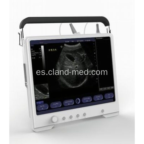 Escáner de ultrasonido portátil Digital Ultrasound Machine Price